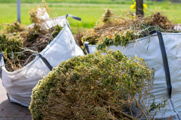  George, IA Junk Removal Services Pros