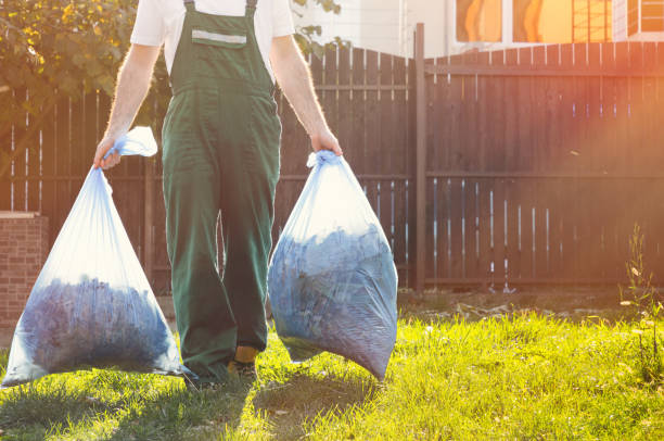 Best Shed Removal  in George, IA